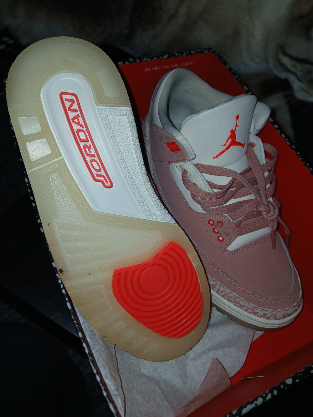 Jordan Women's Pink and White Sneakers